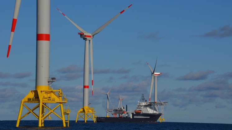 Wikinger offshore wind farm.