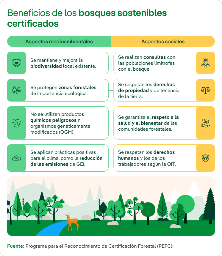 Gestión forestal