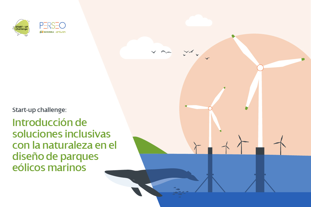 NewTech Challenge: Introducción de soluciones inclusivas con la naturaleza en el diseño de parques eólicos marinos