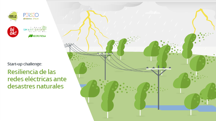 NewTech Challenge: Resiliencia de las redes eléctricas ante desastres naturales