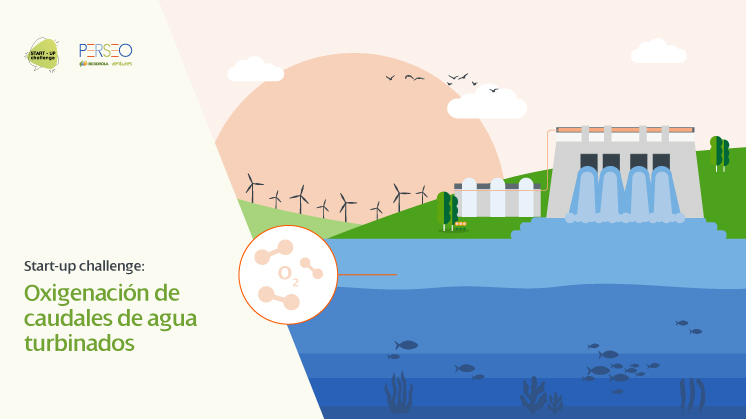 NewTech Challenge: oxigenación de caudales de agua turbinados