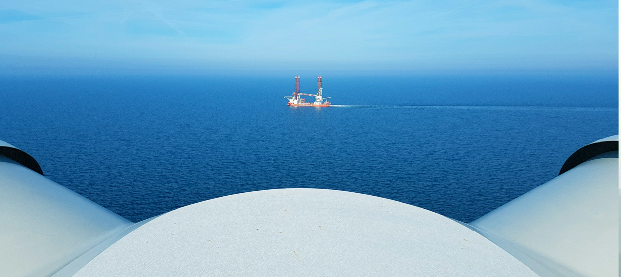 Portal del Proveedor