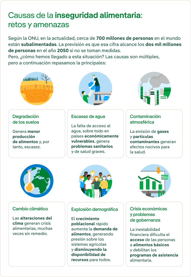 Causas de la inseguridad alimentaria