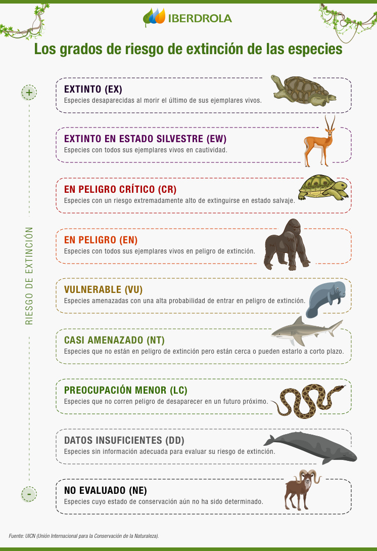 Los grados de riesgo de extinción de las especies.