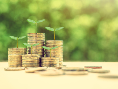 Impuestos ambientales para proteger el medio ambiente