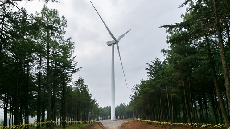 Parque eólico Pier II (México).