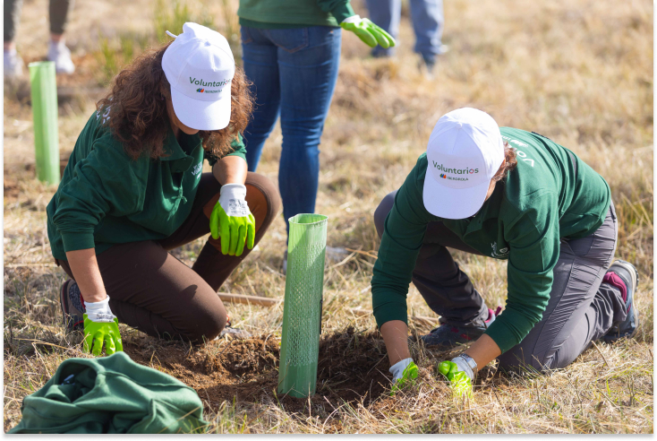 El presidente de Iberdrola, Ignacio Galán, junto a voluntarios de la compañía.