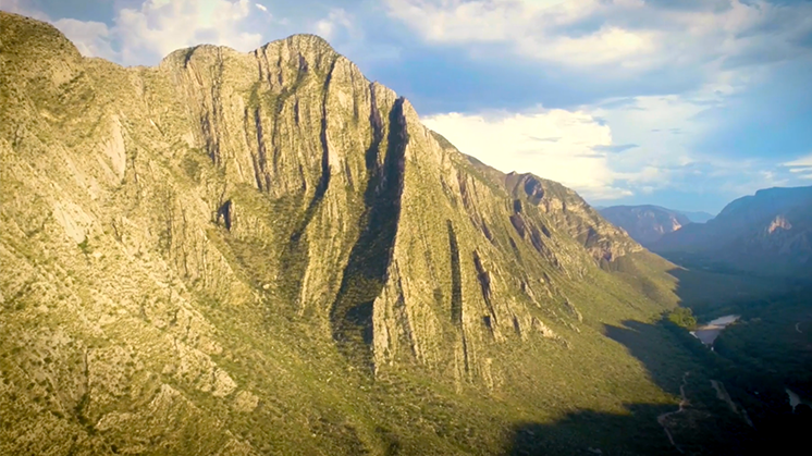 Plan de biodiversidad