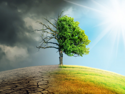 La adaptación al cambio climático, ¿cómo será la Tierra en 2030?