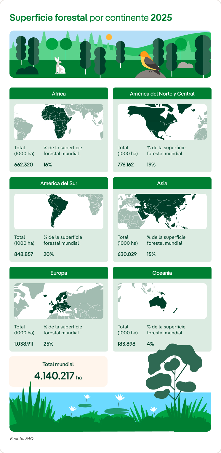 Evolucion_Superficie_Forestal