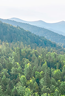 Sustainable Development Goals