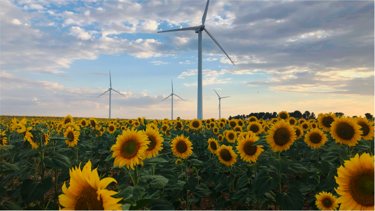 Parque eólico terrestre de Carrasquillo en Palencia, España.