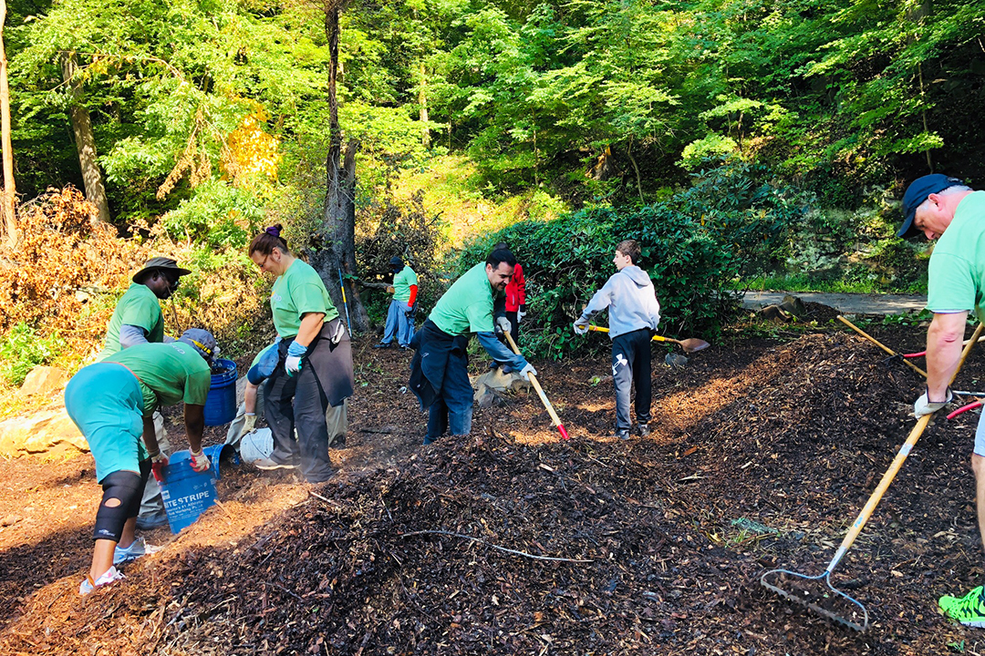 Ciudadanos apoyo green recovery