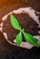 Contribución a la sostenibilidad en 2024