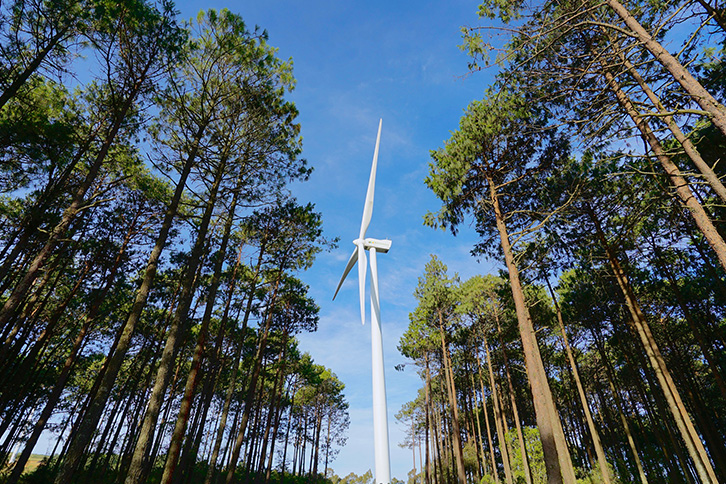 El nuevo parque eólico tendrá una potencia de 274 MW y se construirá en los distritos de Vila Real y Braga.
