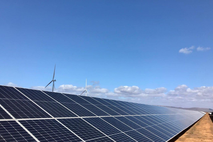 Planta híbrida en Australia