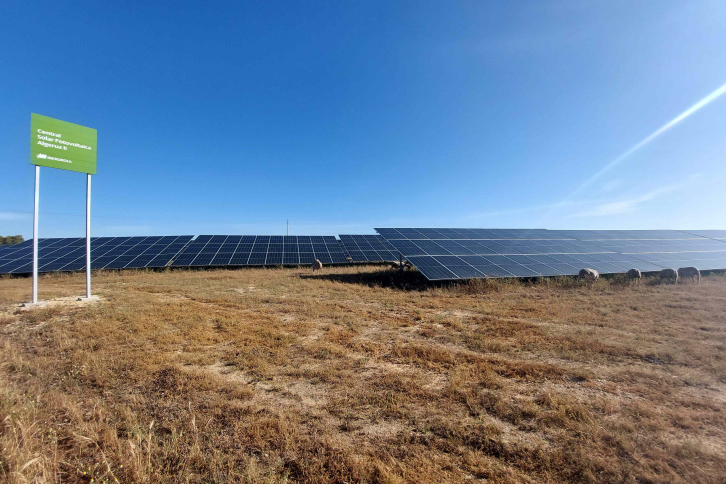 Con este PPA, Gres Panaria Portugal podrá obtener suministro de energía renovable garantizando su estabilidad en el suministro energético a largo plazo