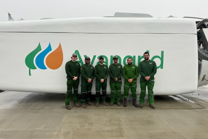 Son profesionales de proyectos eólicos operados por la energética en tres estados diferentes