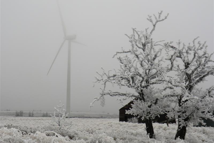 Avangrid garantiza el suministro a más de 1 millón de hogares y negocios durante la última ola de frío en Estados Unidos