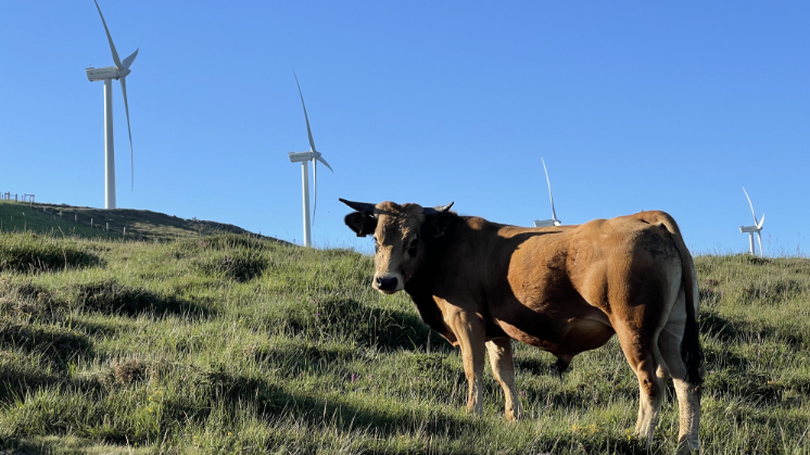 Día Mundial de la Biodiversidad