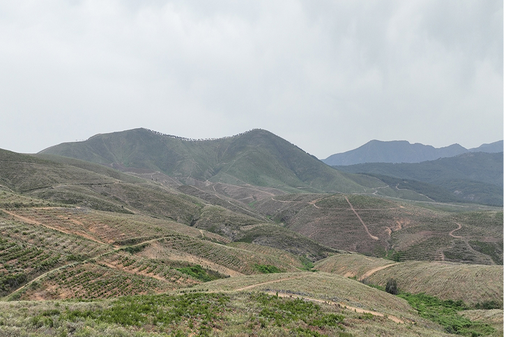 Carbon2Nature y MERLIN Properties se alían para crear el Bosque MERLIN, restaurando más de 200 hectáreas