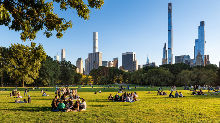 Semana del Clima de Nueva York