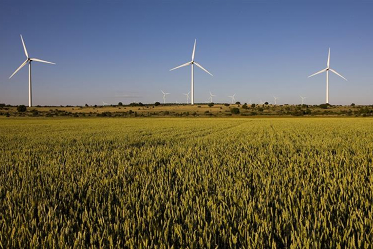 Parque eólico de Iberdrola.