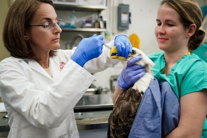 La Fundación Avangrid aporta 3,1 millones de dólares para apoyar a más de 70 organizaciones comunitarias en 2025