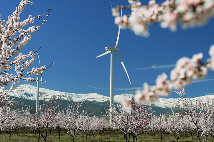 Iberdrola, en el top 100 mundial de proyectos de IA para el impulso de la sostenibilidad