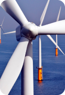 Acceder a solicitudes de información