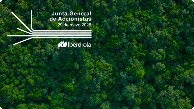 Solicitudes de información