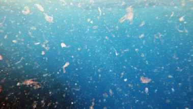 Microplásticos, la invasión silenciosa